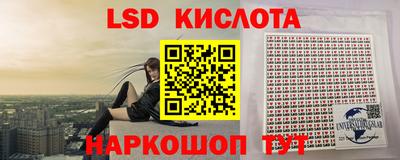 СК Обнинск