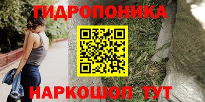 СК Обнинск
